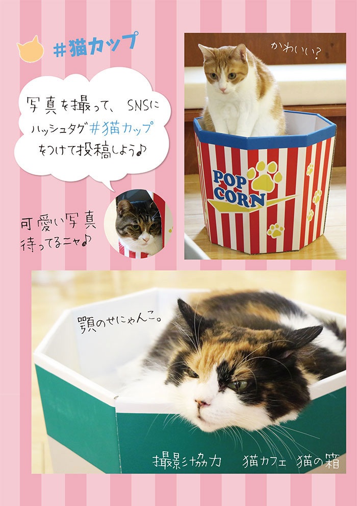 猫カップ 段ボールハウス ペット用品の仕入は Petポチッと で